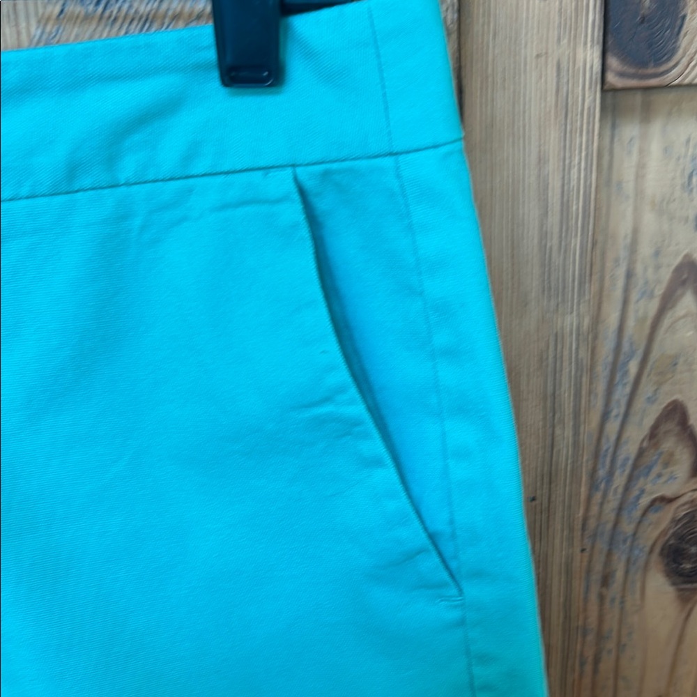 Banana Republic Shorts with Flat Front Design - Picture 4 of 7